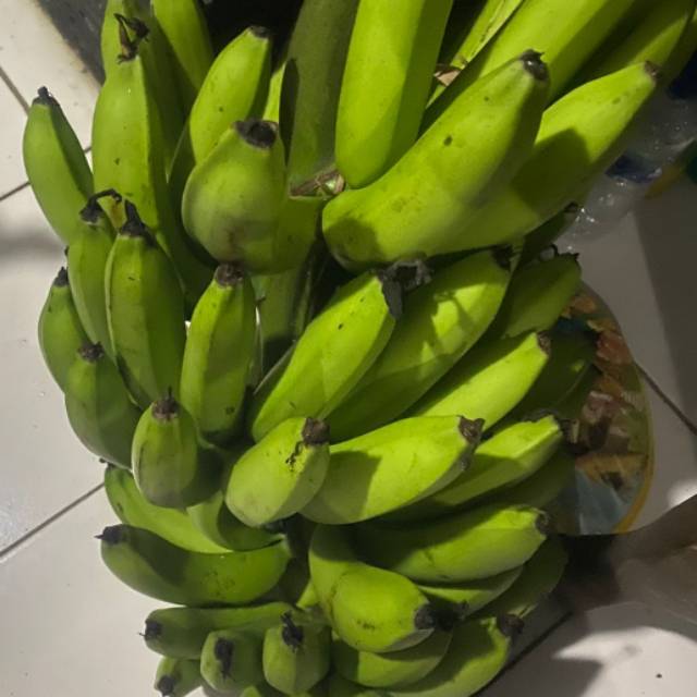MD Pisang