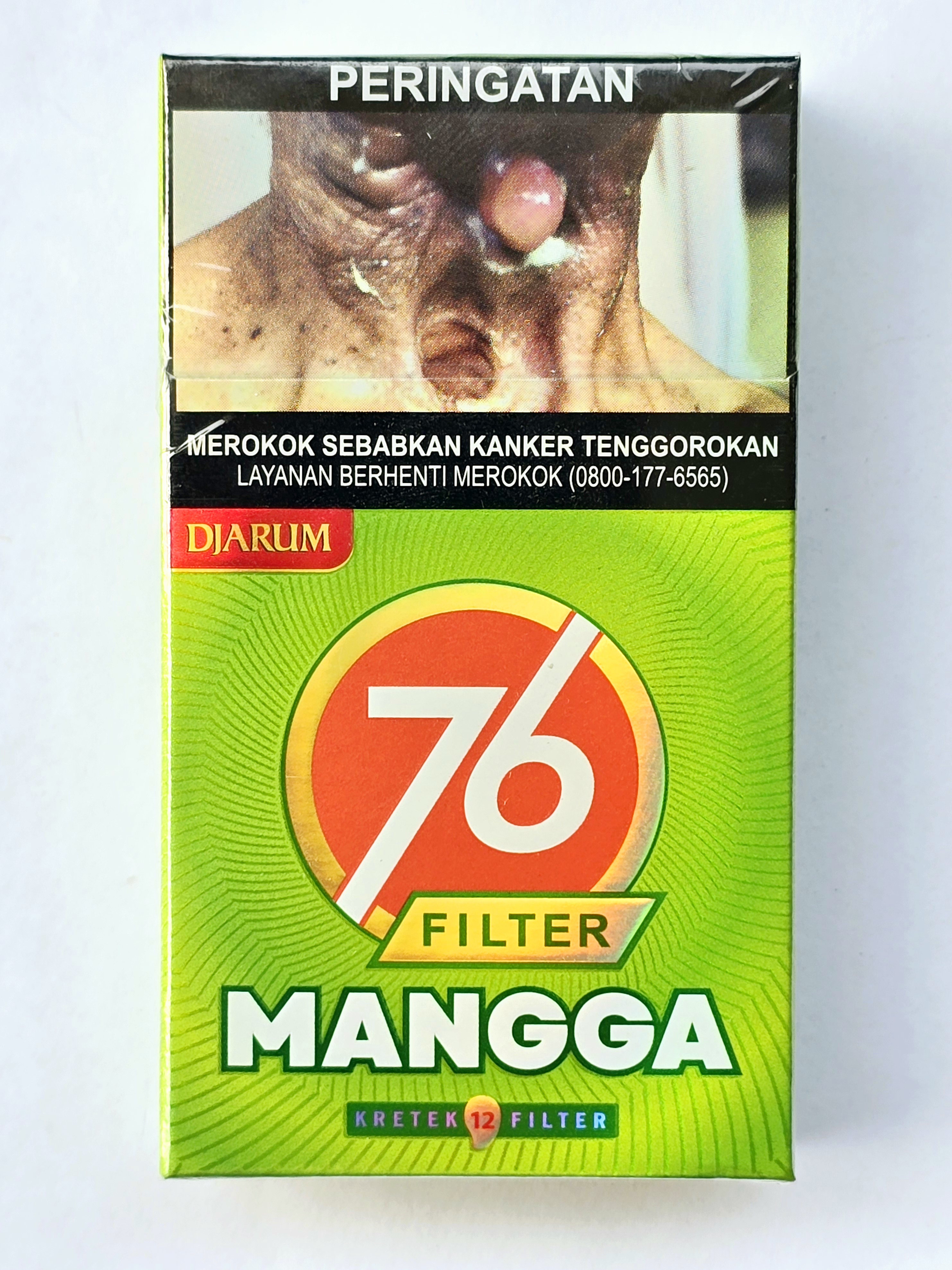 jarum 76 mangga filter