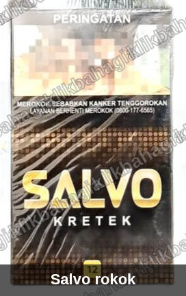 Salvo rokok