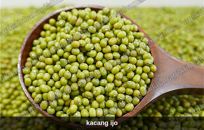 kacang ijo