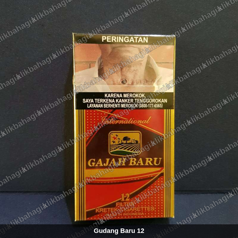 Gudang Baru 12