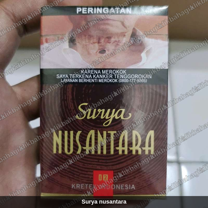 Surya nusantara