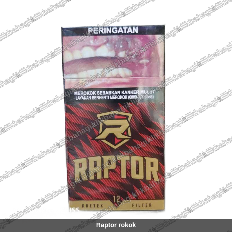 Raptor rokok