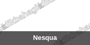 Nesqua