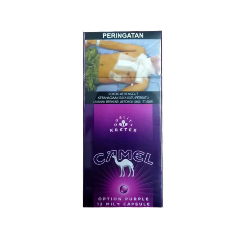 CAMEL UNGU 12