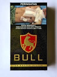 Bull